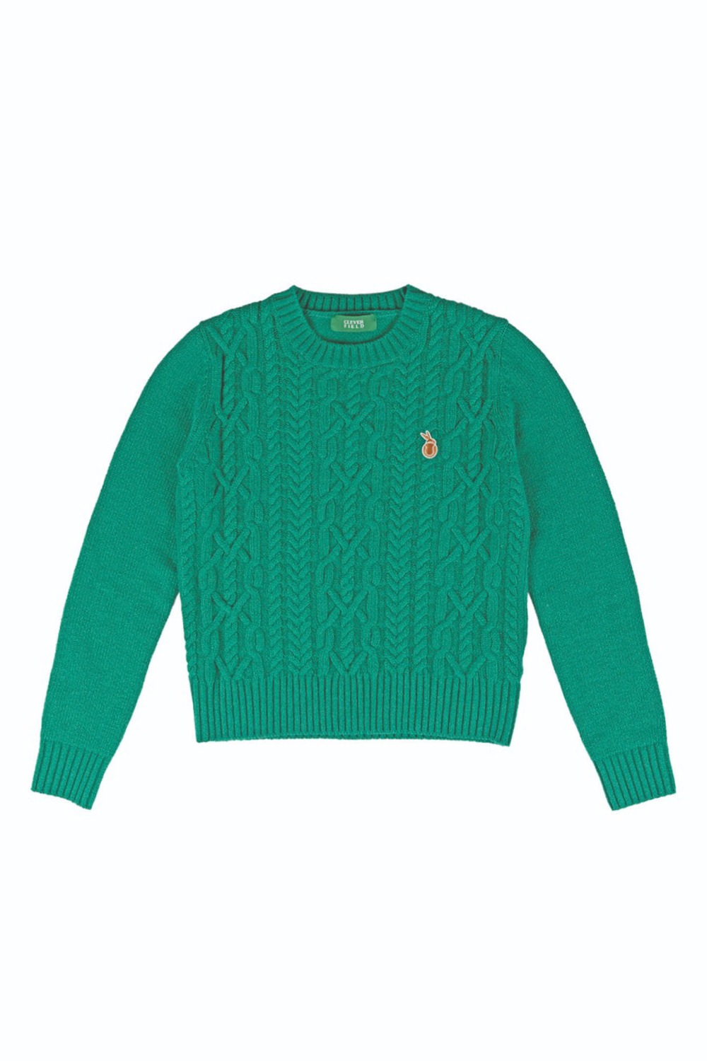 Cropped Cable Knit Sweater (Green) RICHEZ